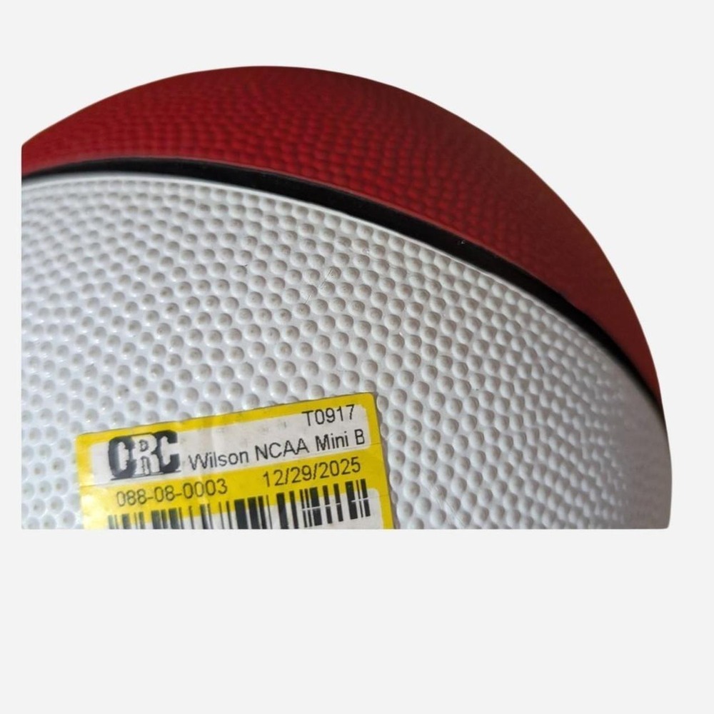 Mini Basketball - Picture 3 of 5